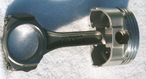 pistrodassy2.jpg 31.0 K