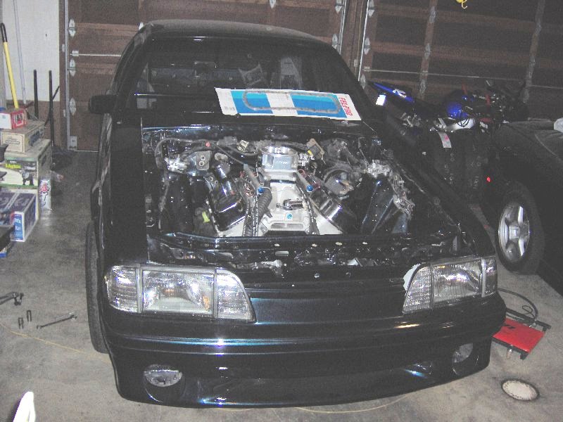 mustang.jpg (90443 bytes)